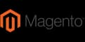Magento 2.0 webshop development